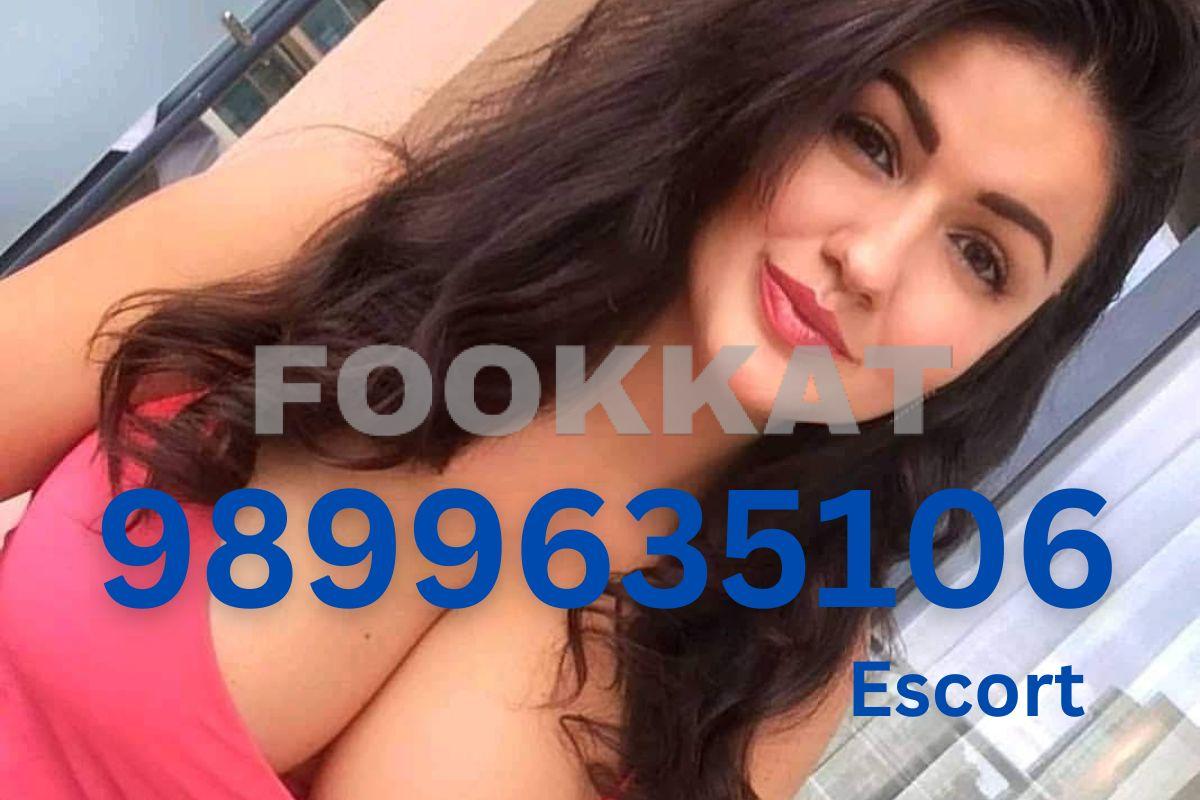 Noida Escort Services & Call Girl Service Noida
